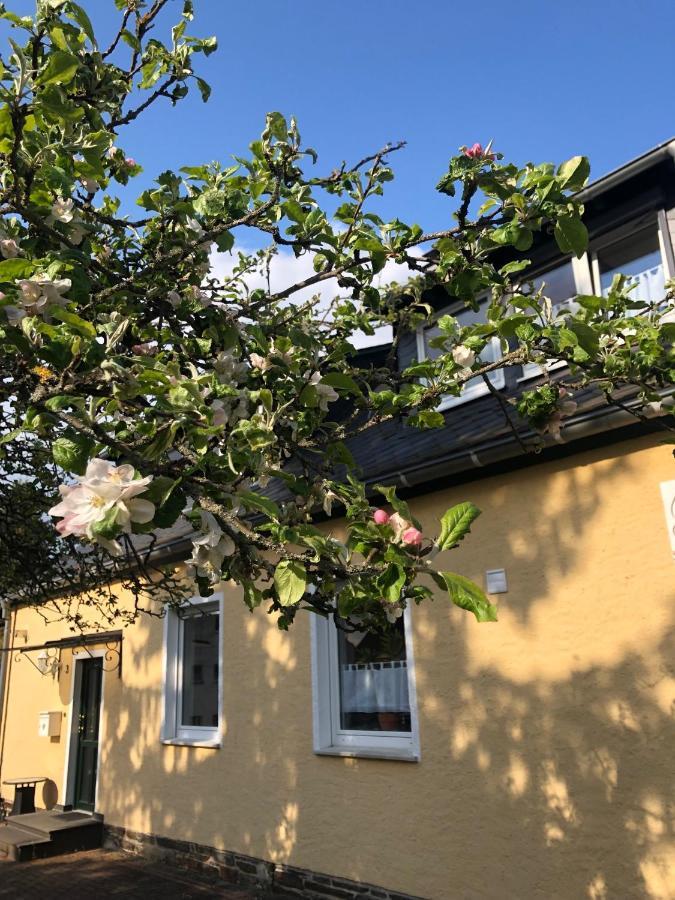 Am Apfelbaum, Ein Ferienhaus Zwischen Rhein Und Mosel كاستلاون المظهر الخارجي الصورة