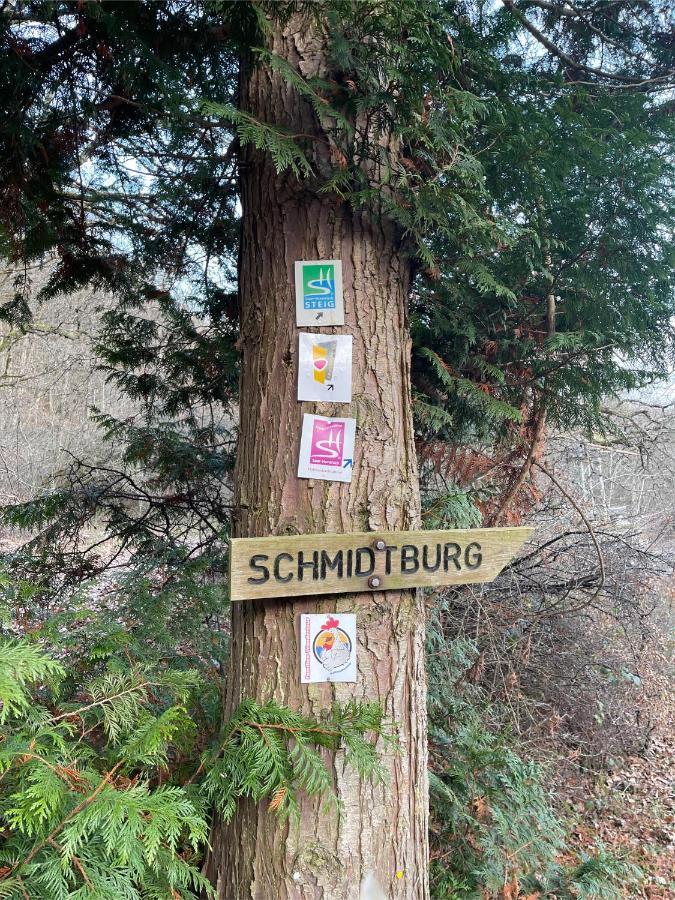 Am Apfelbaum, Ein Ferienhaus Zwischen Rhein Und Mosel كاستلاون المظهر الخارجي الصورة