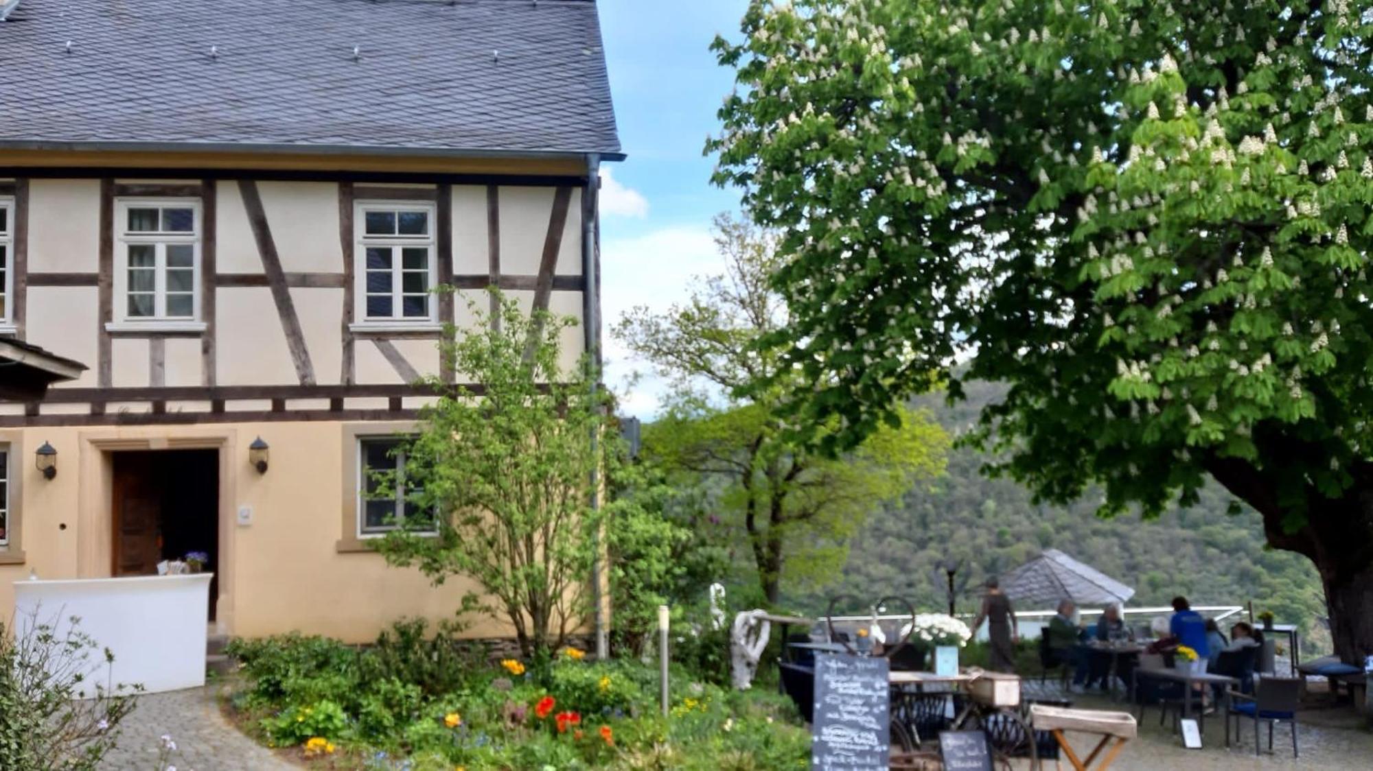 Am Apfelbaum, Ein Ferienhaus Zwischen Rhein Und Mosel كاستلاون المظهر الخارجي الصورة