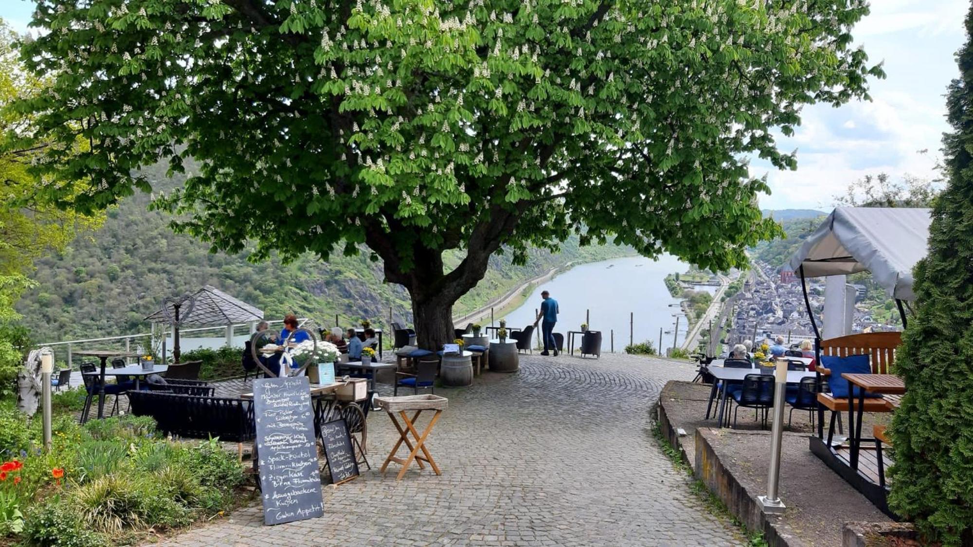 Am Apfelbaum, Ein Ferienhaus Zwischen Rhein Und Mosel كاستلاون المظهر الخارجي الصورة