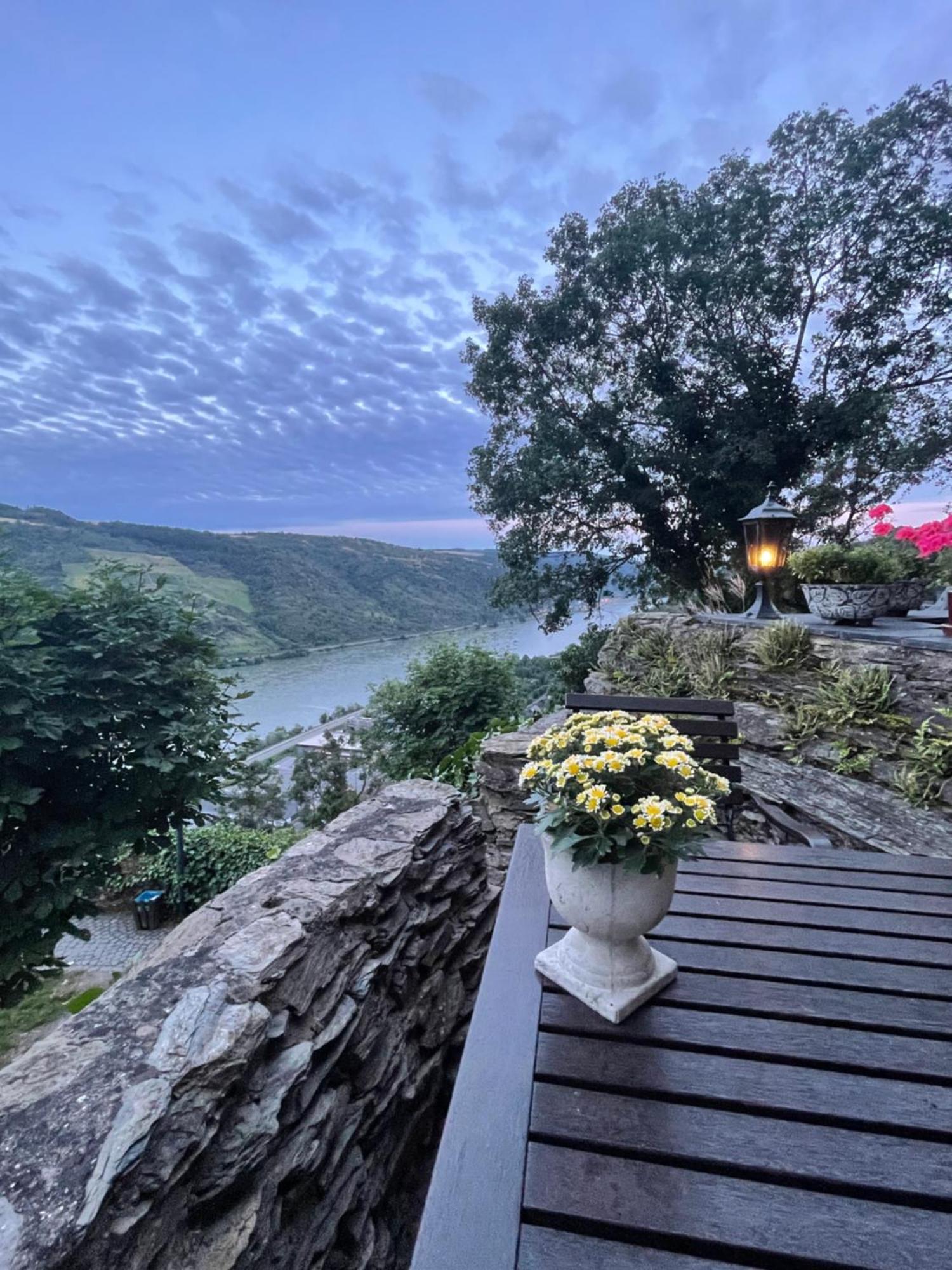 Am Apfelbaum, Ein Ferienhaus Zwischen Rhein Und Mosel كاستلاون المظهر الخارجي الصورة